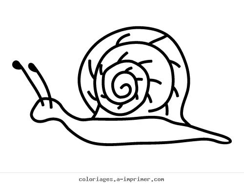 Coloriage Escargot à imprimer