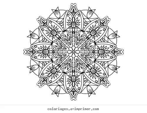 Coloriage Mandala à imprimer