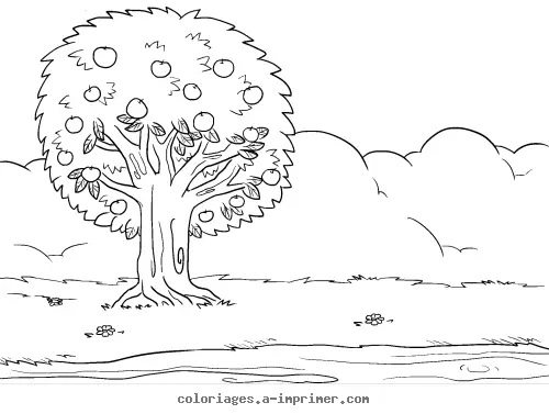 Coloriage Pommier à imprimer