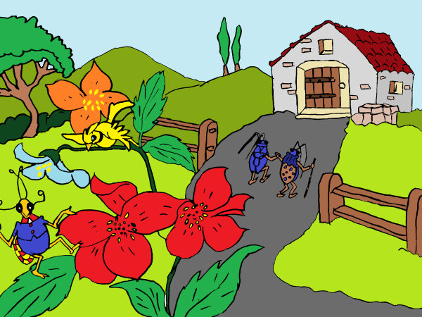 Exemple colorié de Les insectes