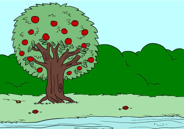 Exemple colorié de Pommier