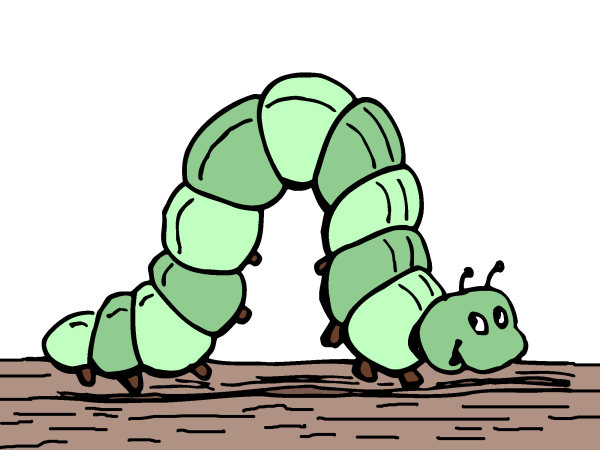 Exemple colorié de Mille pattes