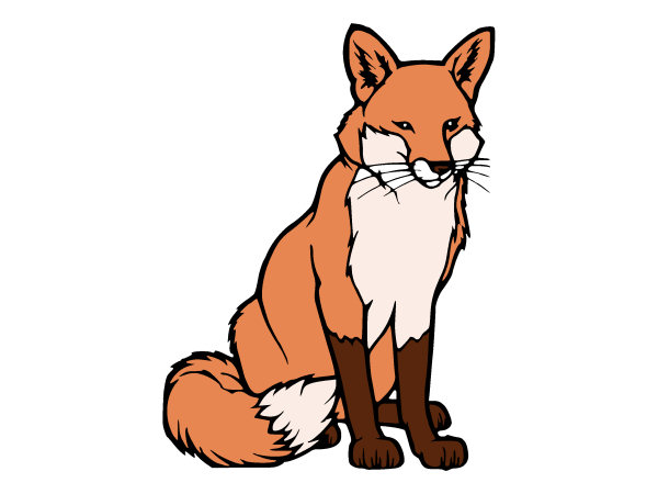 Exemple colorié de Renard
