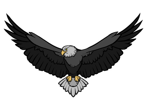 Exemple colorié de Aigle