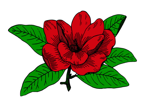 Exemple colorié de Fleurs