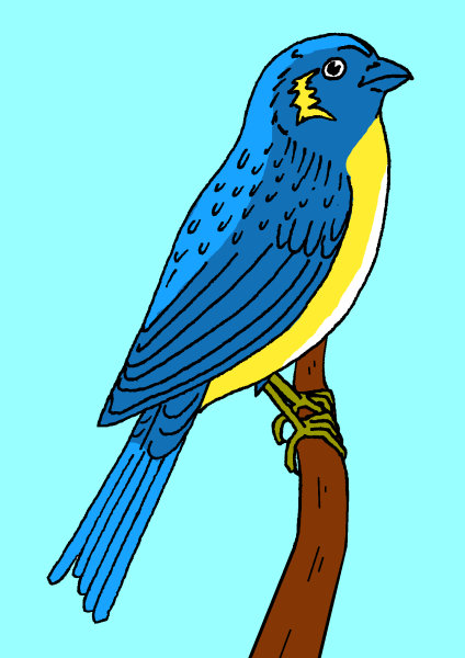 Exemple colorié de OIseau