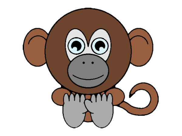 Exemple colorié de Singe