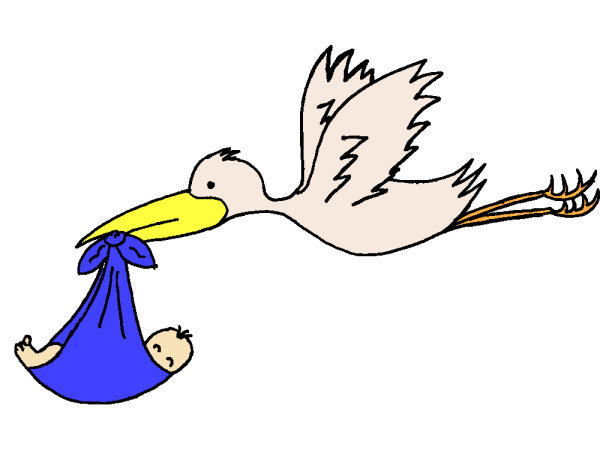 Exemple colorié de Cigogne