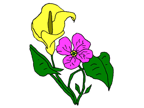 Exemple colorié de Fleurs