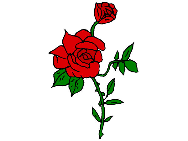 Exemple colorié de roses