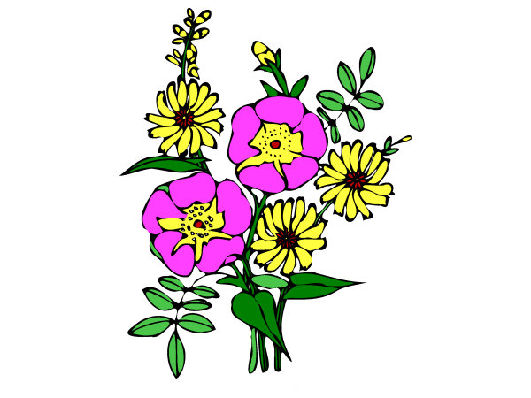 Exemple colorié de Bouquet
