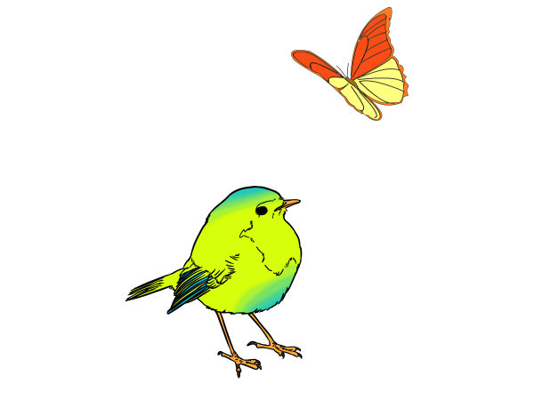 Exemple colorié de OIseau