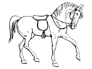Coloriage Cheval