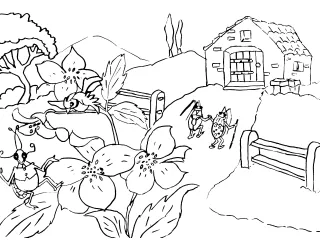 Coloriage Les insectes