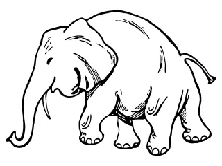 Coloriage Elephant