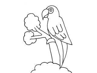 Coloriage Perroquet