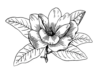 Coloriage Fleurs