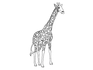 Coloriage Girafe