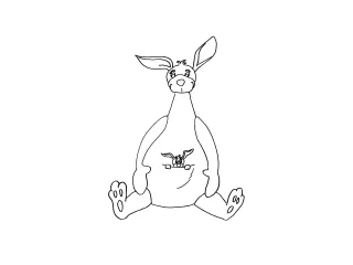 Coloriage Kangourou