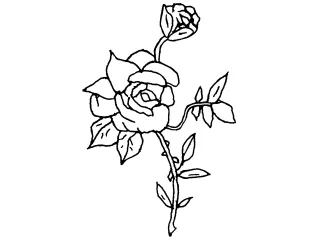 Coloriage roses