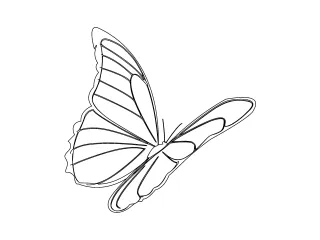 Coloriage Papillon