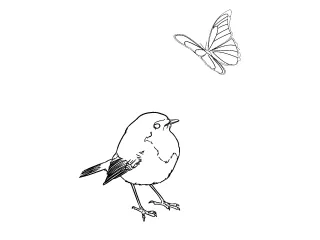 Coloriage OIseau